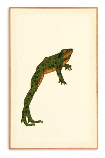 (CHELONIIDAE PRESS.) Twain, Mark. The Jumping Frog.